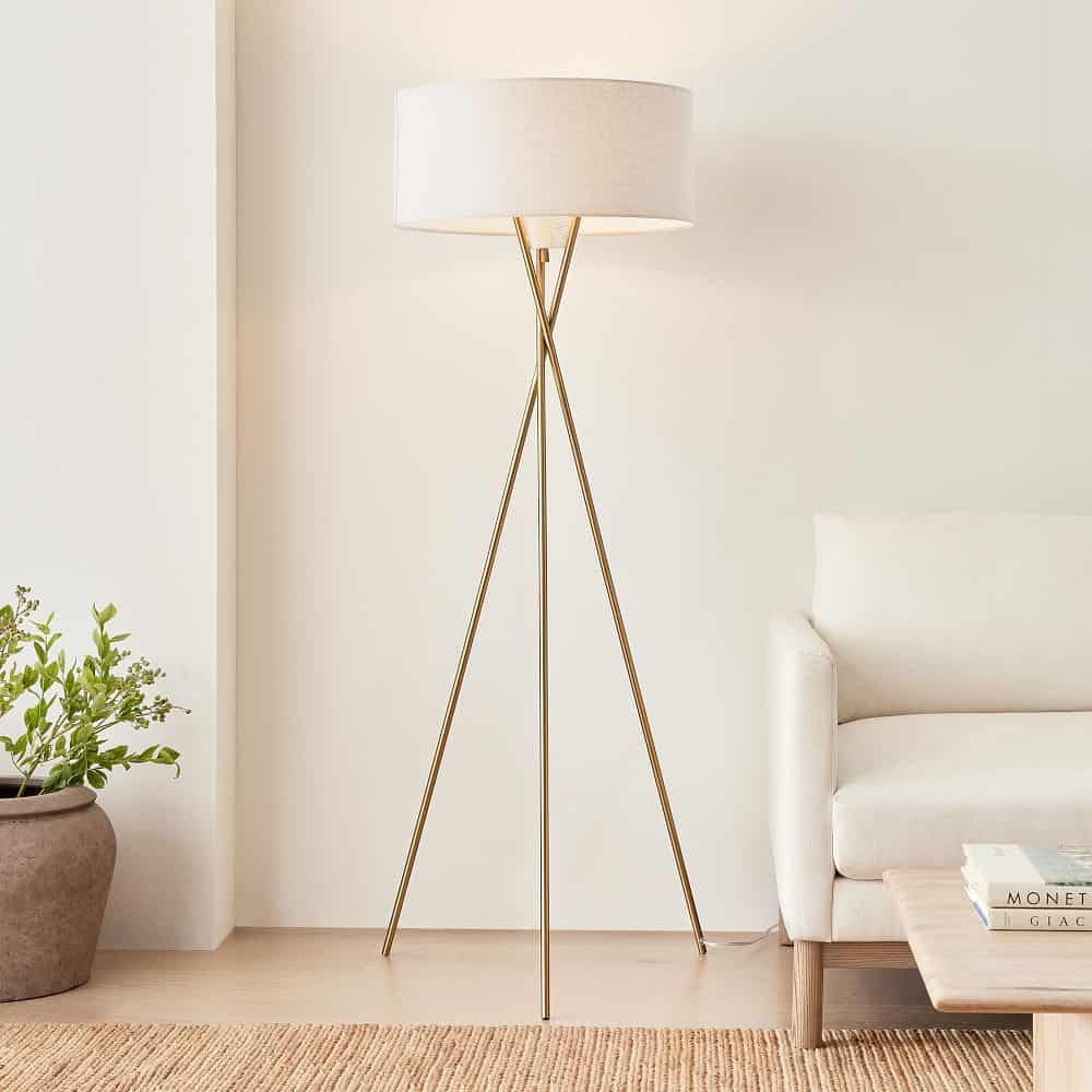 The floor lamp